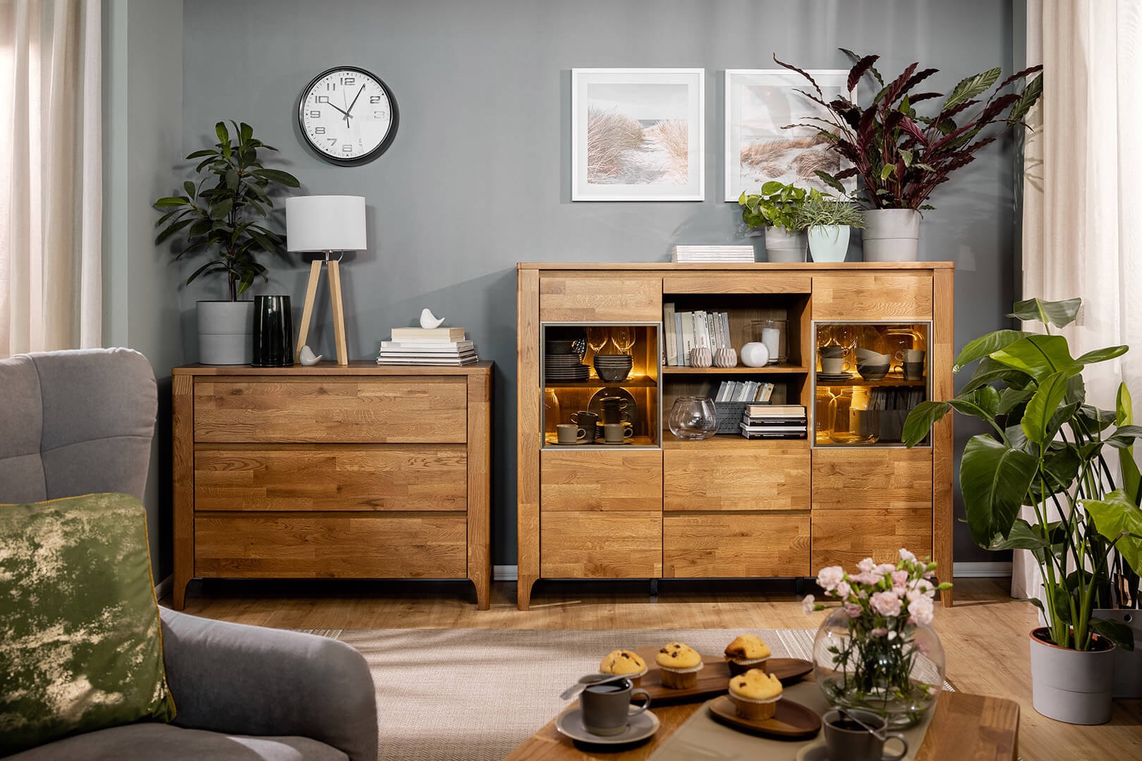 Rośliny doniczkowe pielęgnacja